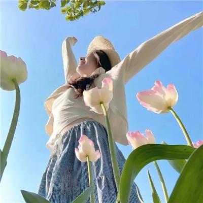 夏日菊花茶前传